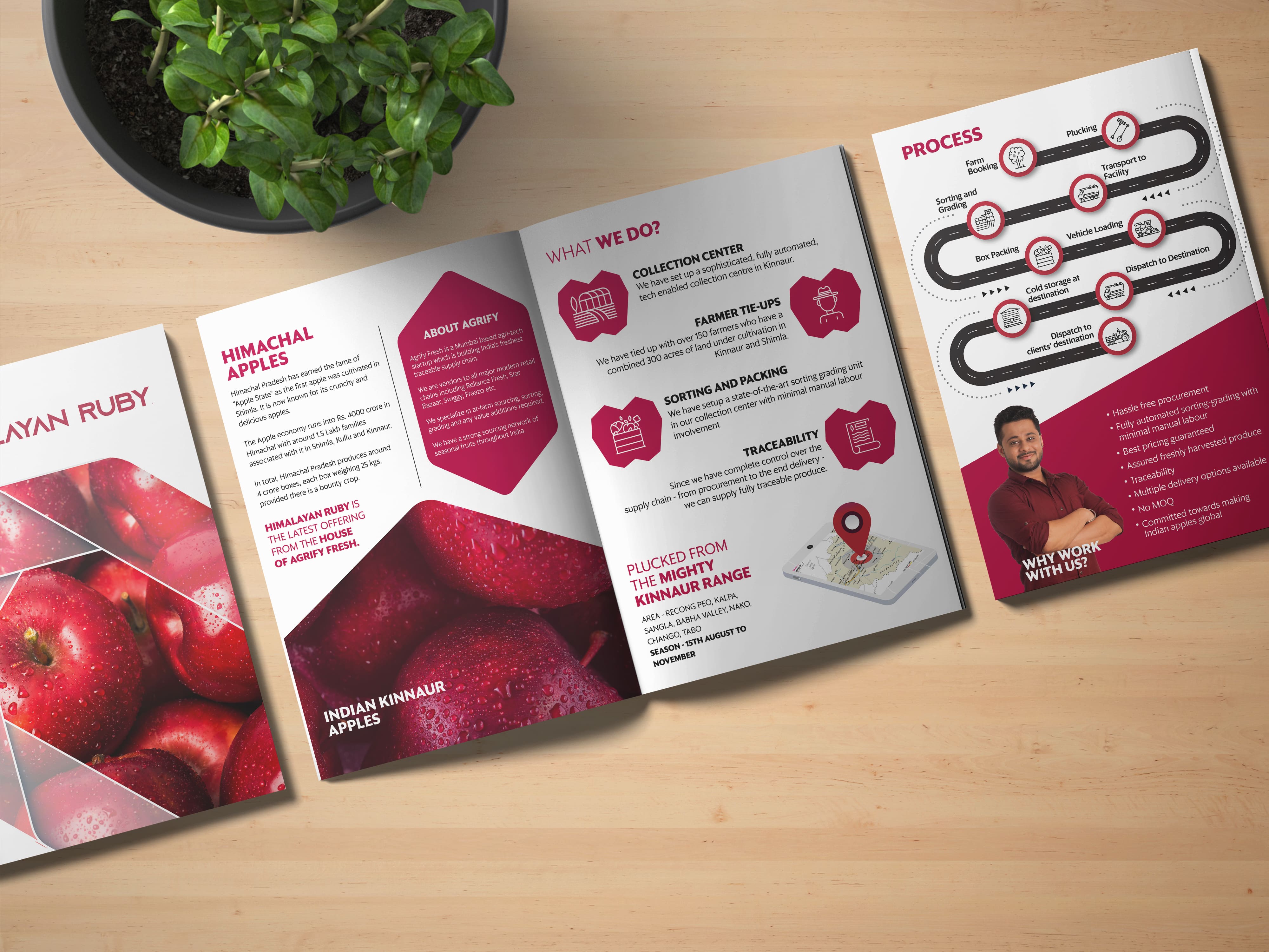 Book Design 2